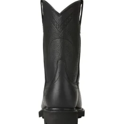 Ariat Men's Sierra 10