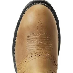 Ariat Men's WorkHog 10