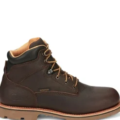 Chippewa Men's Colvile 6