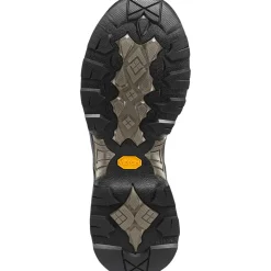 Danner Men's Crucial 6