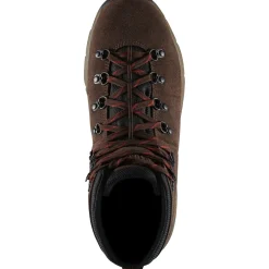 Danner Men's Mountain 600 4.5