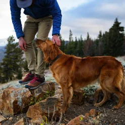 Danner Men's Trail 2650 3