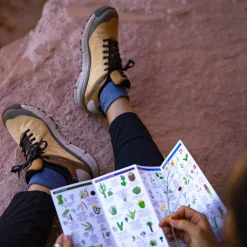 Danner Women's Trail 2650 GTX 3