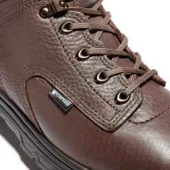 Timberland Pro Men's TiTAN 6